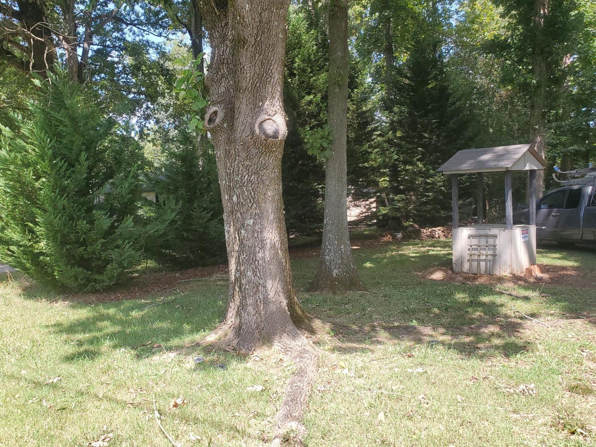 Private Single Level Standalone House Large Lot - 3 Bedrooms 샬럿 외부 사진